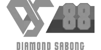 PalmPay logo